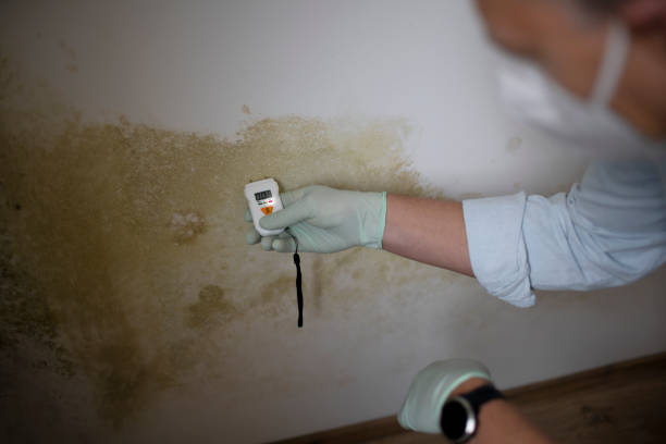 Best Industrial Mold Remediation in Sloatsburg, NY