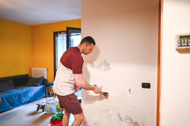 Trusted Sloatsburg, NY Mold Remediation Experts